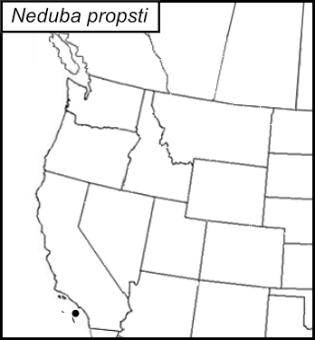 distribution map for Neduba propsti