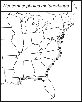 distribution map for Neoconocephalus melanorhinus