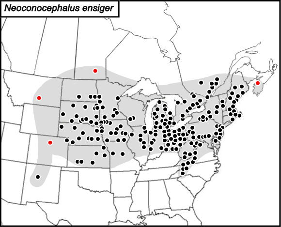 distribution map for Neoconocephalus ensiger