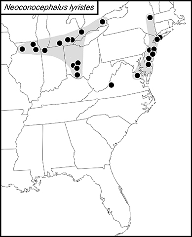 distribution map for Conocephalus allardi