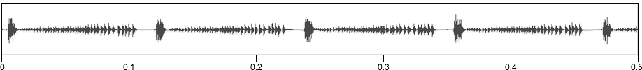 image of expanded waveform for Neoscapteriscus borellii