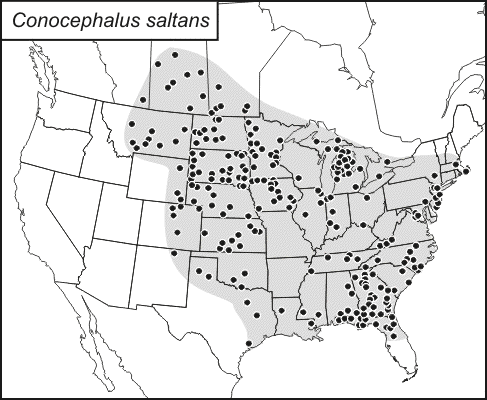 distribution map for Conocephalus saltans