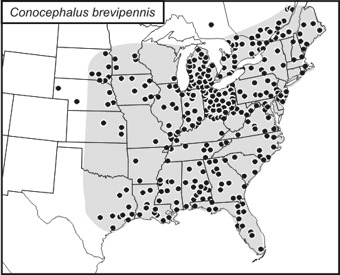 distribution map for Conocephalus brevipennis