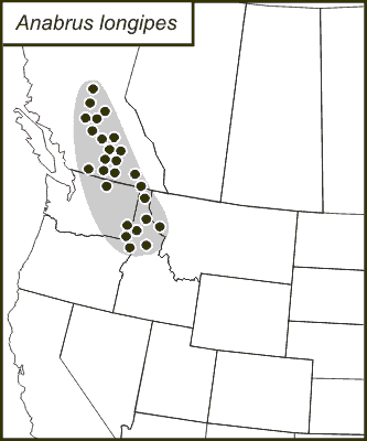 distribution map for Anabrus longipes