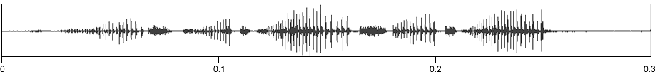 image of expanded waveform for Pediodectes grandis