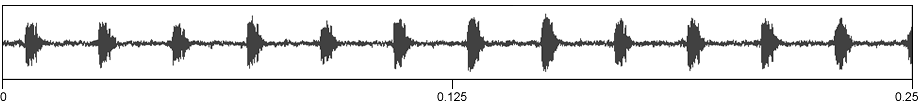 image of expanded waveform for Cyphoderris buckelli