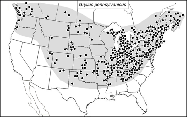 distribution map for Gryllus pennsylvanicus
