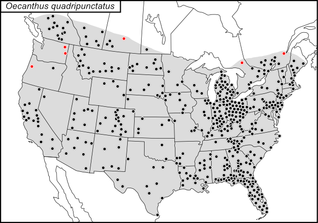 distribution map for Oecanthus quadripunctatus