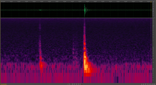 Eumaeus atala Poey sonogram of pupal stridulation – amplified at bottom (red and yellow peaks) for better visualization. Both sounds were made at a frequency between 100-500 Hz and lasted for 0.07 seconds.