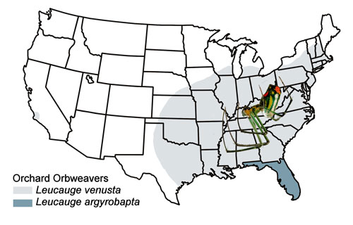 Approximate distribution map for the orchard orbweavers, Leucauge argyrobapta (White) and Leucauge venusta (Walckenaer). Map based on Encyclopedia of Life (2018) map, Ballesteros and Hormiga 2018, and Levi 1980.