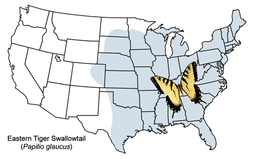 Ryc. 2. Mapa rozmieszczenia Papilio glaucus Linnaeus.