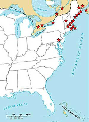 Eurooppalaisen palomuurahaisen, Myrmica rubra Linnaeus, levinneisyys Yhdysvalloissa ja Kanadassa. Tiedot perustuvat julkaistuun kirjallisuuteen ja vuosina 2002-2004 tehtyihin tutkimuksiin. 