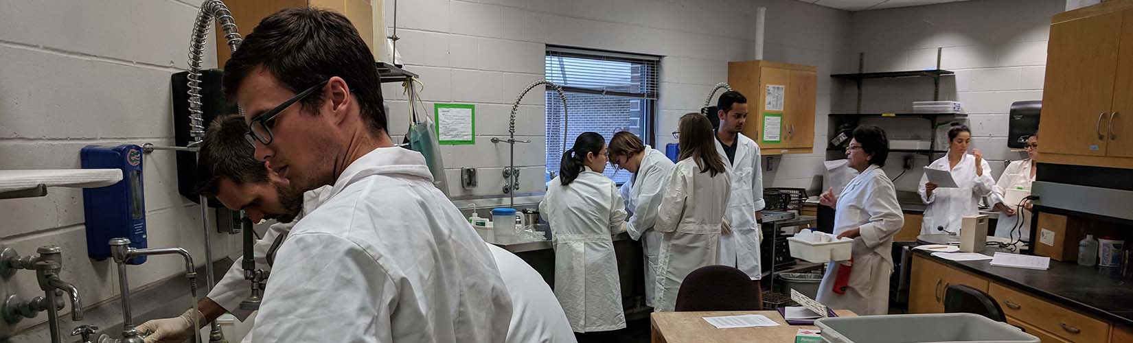 students and faculty working in the laboratory