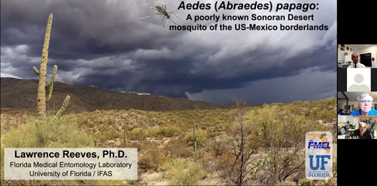 screen capture from the virtual presemtation. picture of a desert. Aedes (Abraedes) papago: A poorly known Sonoran Desert mosquito of the US-Mexico borderlands. Lawrence Reeves, Ph.D Florida Medical Entomology Laboratory University of Florida / IFAS