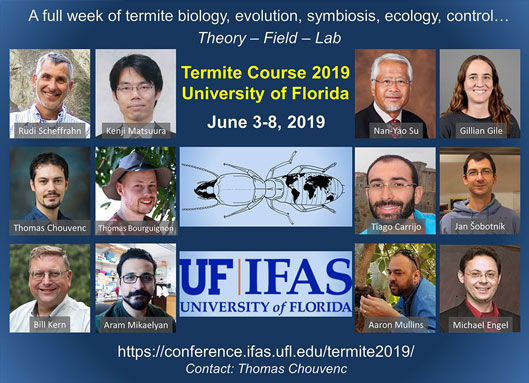 The program for the 2019 international termite course is now completed and registration is open. 