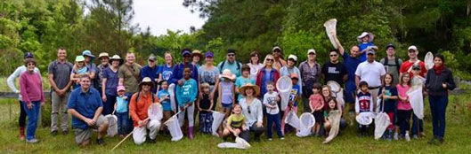 Dr. Jiri Hulcr and Dr. Andrea Lucky led another Spring Bugwalk with the Alachua Conservation trust on April 6th, from 9-noon. More than 50 insect enthusiasts, young and old, came out to explore the insect life of Prairie Creek Preserve’s meadows, forests, and ponds.