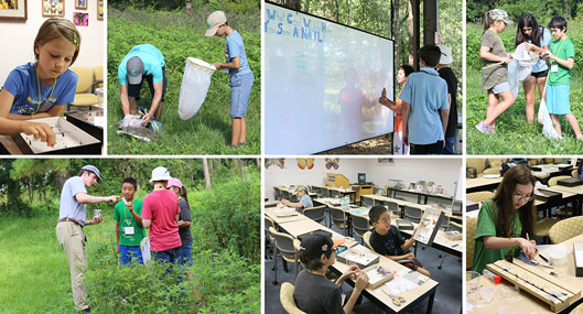 The LepCamp 2019 was a success, with 15 middle school students in attendance, among whom 10 were returning campers from the previous years.
