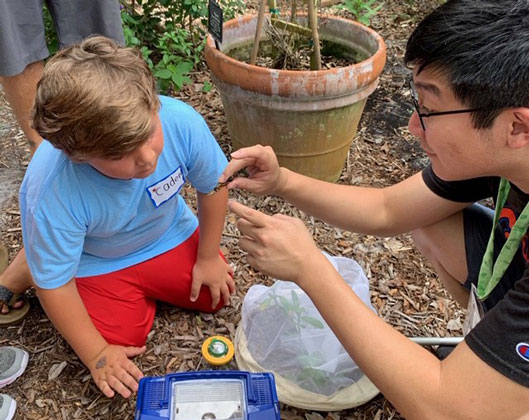 Tse-Yu Chen, PhD student at FMEL, shows Caden a butterfly captured in the Gardens.