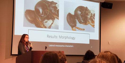 Jessica Awad, a master's student in the Hodges lab, presented a talk titled 