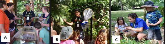 The 2nd annual Celebration of Insects event at Heathcote Botanical Gardens in Ft. Pierce on July 6th was a success thanks to FMEL and IRREC faculty and graduate students