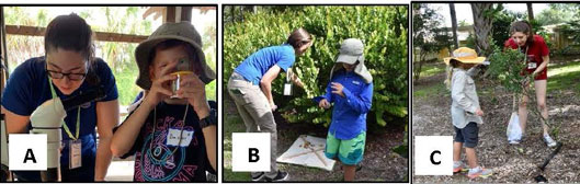 A. Rebecca Zimler assisted with identification of insects found in bromeliad tanks, B. Kristen Bowers led the hunt for insects in bushes, C. Emilie Pauline helped search for insects in citrus. 