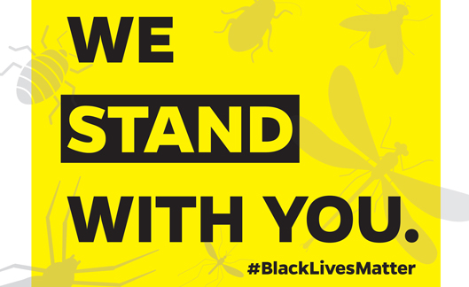 Yellow graphic. We Stand with you. #BlackLivesmatter