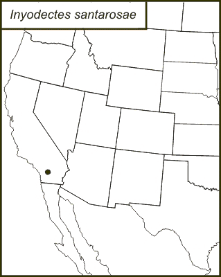 distribution map for Inyodectes santarosae