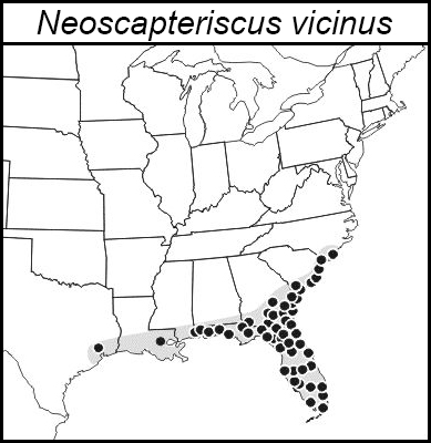 distribution map for Neoscapteriscus vicinus