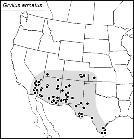 distribution map for Gryllus armatus