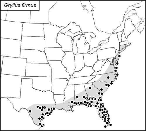 distribution map for Gryllus firmus