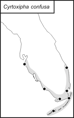 distribution map for Cyrtoxipha confusa