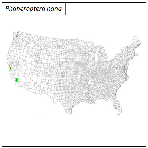 distribution map for Phaneroptera nana