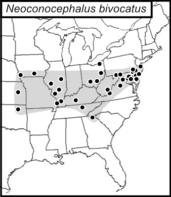 distribution map for Neoconocephalus bivocatus