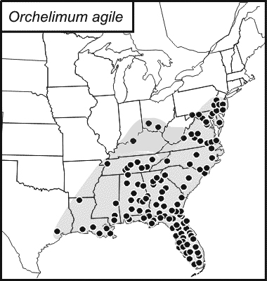 distribution map for Orchelimum agile