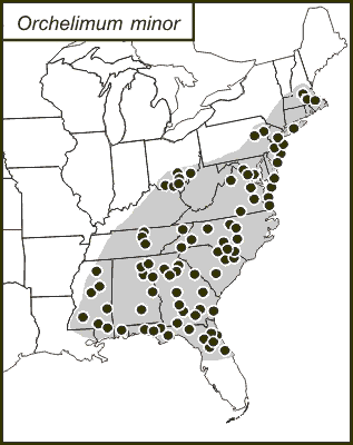 distribution map for Orchelimum minor