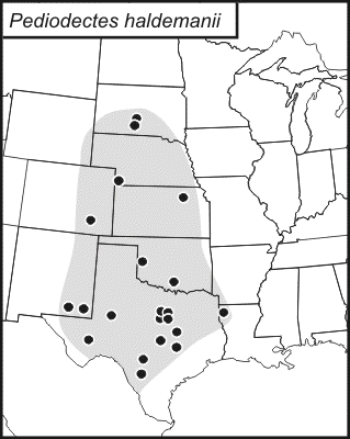 distribution map for Pediodectes haldemanii