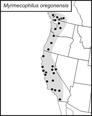 distribution map for Myrmecophilus oregonensis