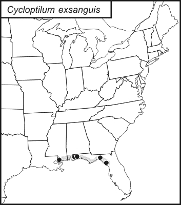 distribution map for Cycloptillum exsanguis