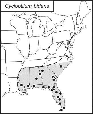 distribution map for Cycloptilum bidens