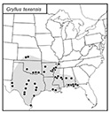 SINA map for Gryllus texensis