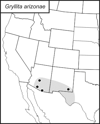 distribution map for Gryllita arizonae