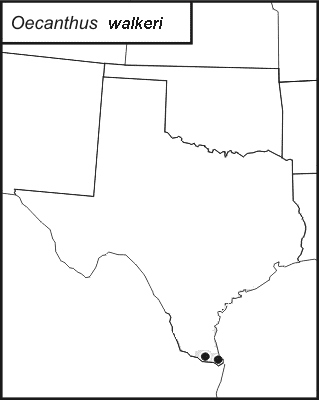 distribution map for Oecanthus walkeri