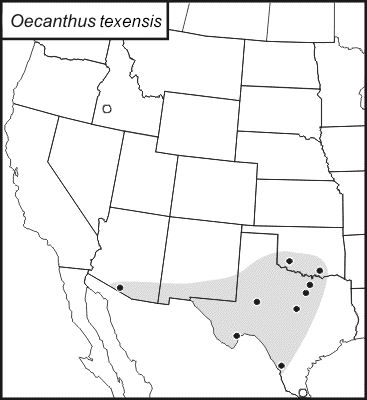 distribution map for Oecanthus texensis