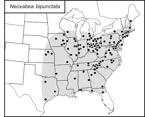 distribution map for Neoxabea bipunctata