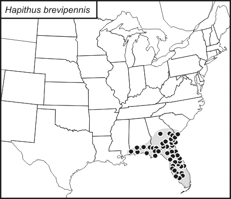 distribution map for Hapithus brevipennis