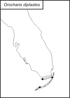 distribution map for Orocharis diplastes