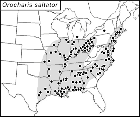 distribution map for orocharis saltator