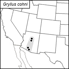 distribution map for Gryllus cohni