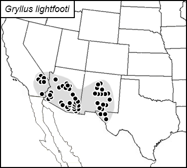 distribution map for Gryllus lightfooti