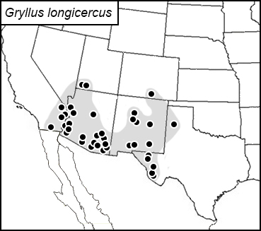distribution map for Gryllus longicercus